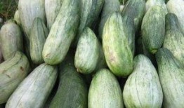 酒后可以吃酥瓜