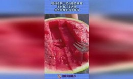 高级感吃瓜神器,品味非凡的美食探秘之旅