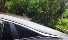 坐后排吃瓜,揭秘娱乐圈幕后风云