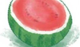 小暑 吃瓜,瓜果飘香，夏日清凉美食之旅