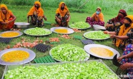 鸡吃不吃蛇瓜,探究鸡是否食用蛇瓜之谜