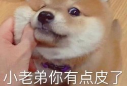 啊哈吃瓜表情包,网络时代的趣味社交新宠