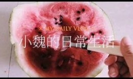 早起贪黑吃瓜,揭秘“早起贪黑吃瓜”的奇妙人生