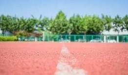 校园吃瓜看戏怎么演,吃瓜看戏，揭秘校园幕后大戏