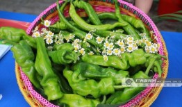 吃瓜广西艺术,吃瓜中的文化盛宴