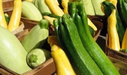 带你吃瓜俄罗斯,带你吃瓜俄罗斯风味佳肴