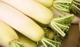 吃白土瓜过敏,揭秘这种食物背后的风险与应对策略