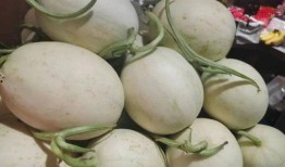 海南吃瓜的女孩,吃瓜女孩的悠闲夏日时光