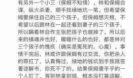 林生斌阳间吃瓜,一场网络舆论的风暴