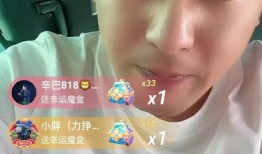 辛巴直播吃瓜,趣味横生引网友热议