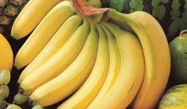 夏季吃瓜容易瘦吗,夏季吃瓜助瘦小秘诀