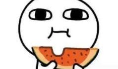 吃瓜宇西,网络红人的崛起与影响力