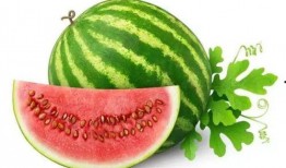 吃瓜碎碎小圆,揭秘娱乐圈那些不为人知的幕后故事