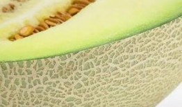 吃甜蜜瓜会胖么,吃甜蜜瓜真的会胖吗？