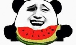 吃瓜团子的人在哪,探寻吃瓜团子爱好者分布之谜