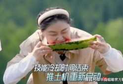 最任性的吃瓜,揭秘娱乐圈幕后真相