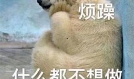 吃瓜群众睡觉图片,揭秘吃瓜群众睡眠瞬间