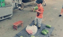 吃瓜小可爱莱州沙河,吃瓜小可爱探寻的生态秘境