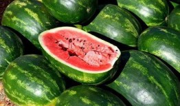 吃瓜西瓜照片大全,吃瓜西瓜照片大全集锦