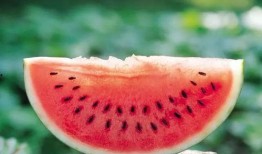 小蓝鸟大熊的吃瓜日记,揭秘娱乐圈幕后故事