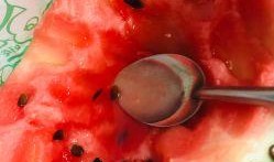 吃麒麟瓜真实图片,色彩斑斓的天然美食画卷