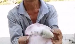 吃瓜爆料大叔是谁,网络红人背后的故事