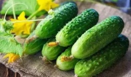 吃瓜加扣,揭秘娱乐圈背后的秘密与真相