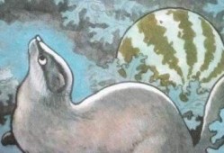 吃瓜撑到的猹,揭秘网络热词背后的趣味与思考