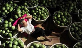 崇州吃瓜事件,一场网络热议背后的真相与反思