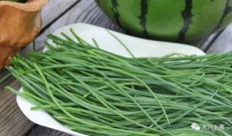 吃瓜网红套餐,网红爆款！揭秘吃瓜网红套餐的火爆魅力