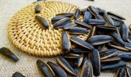 吃瓜喝油,探寻美食与生活的和谐交响