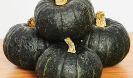 小孩晚上吃贝贝瓜,宝贝们的贝贝瓜盛宴