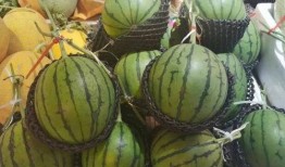 海南吃瓜的女孩,吃瓜女孩的悠闲夏日时光