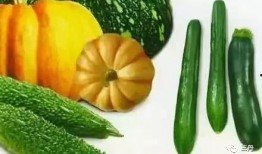 吃瓜语句,吃瓜群众眼中的明星生活