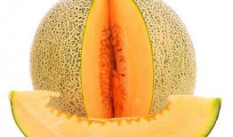 痢疾吃哈密瓜,美味与健康的完美结合