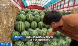 吃瓜的兔毛,揭秘娱乐圈的幕后故事