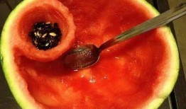 吃瓜要用勺,探索勺子的奇妙吃瓜之旅