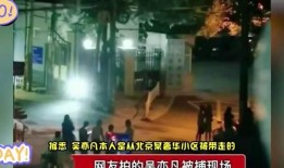 吃瓜解救,揭秘娱乐圈背后的真相与温情