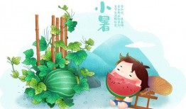 小暑 吃瓜,瓜果飘香，夏日清凉美食之旅