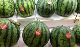 7seven吃瓜,揭秘娱乐圈幕后真相